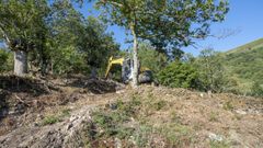 Obras de desbroce de terrenos realizadas el verano pasado en la localidad de Bustelo de Fisteus, en el municipio de Quiroga, dentro del plan de las aldeas modelo de Medio Rural.