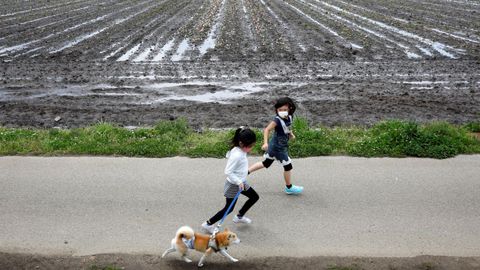 Nios pasean por las inmediaciones de un campo de 100.000 tulipales recin cortados en Japn