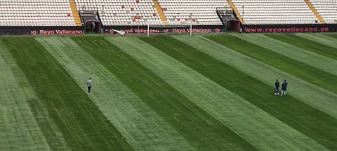 C�sped de Vallecas durante esta semana