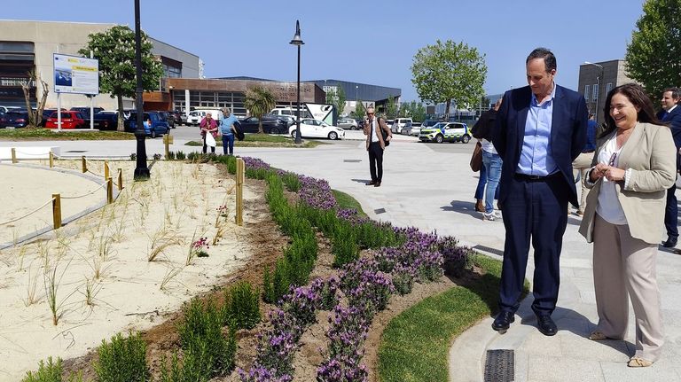 El Puerto de Vigo monta una jardinera de vegetación dunar en Bouzas