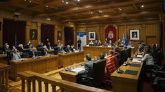 Pleno en la Diputación de Ourense.