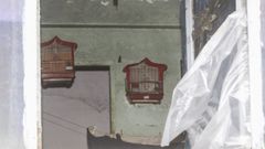 Vista desde la calle de una de las estancias de la casa de la mujer que fue hallada muerta en Freixeiro
