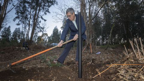 El secretario de Estado de Medio Ambiente, Hugo Morán, durante una plantación de castaños organizada este jueves en Santiago