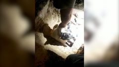 Protecci�n Civil de Cerdedo-Cotobade rescata a un perro