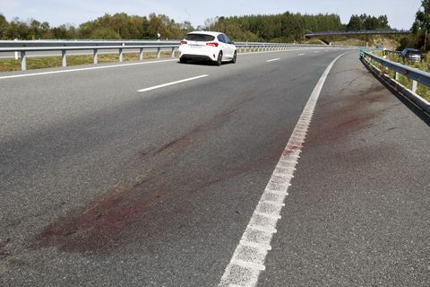 Restos del acccidente que sufrieron dos lucenses al chocar contra un jabalí en la A-54