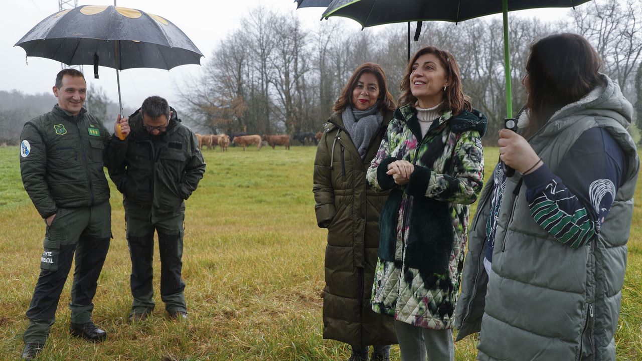 Bscate en la carrera 10KM de Sarria.Meigas e Trasgos, que son los organizadores, presentaron esta semana la documentacin