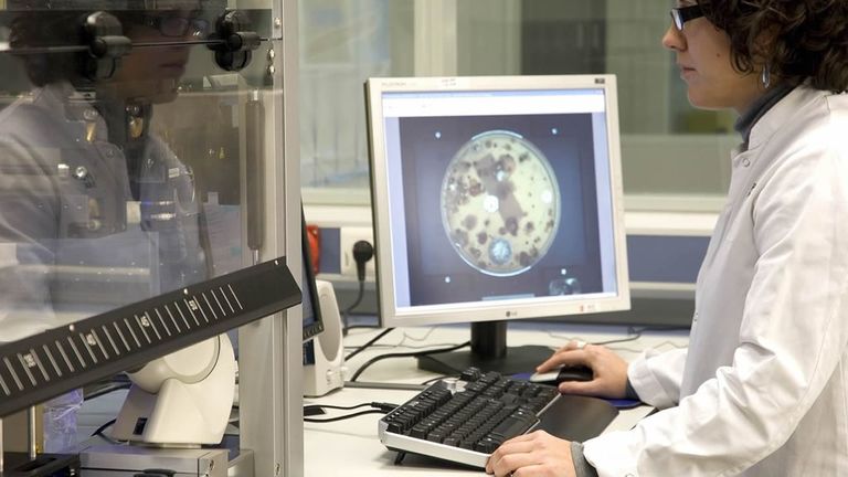 Pharmamar multiplica por tres su beneficio neto en el 2025, hasta los 75 millones de euros