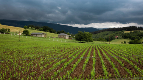 Siembra en un campo del occidente asturiano