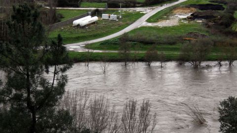 Inundaciones en la provincia de Ourense.La crecida del Sil ha inundado O Aguilln y la chopera de A Ra de Valdeorras