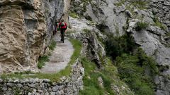 La Ruta del Cares, en los Picos de Europa. Atraviesa el desfiladero del río en una de las rutas más espectaculares de España, tallada en las rocas a lo largo de 11 km.