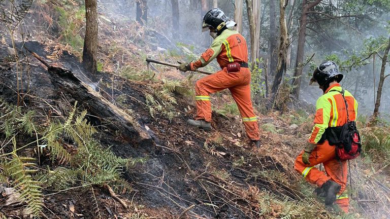 Dos bomberos trabajan en la extinción del incendio forestal. ARCHIVO