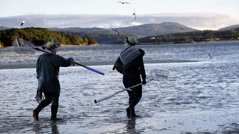 Los mariscadores de la Ria de Noia vuelven a trabajar