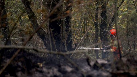 Un bombero participa en las labores de extinción de un incendio declarado en la Reserva de la Biosfera de Muniellos (Asturias), considerado como el robledal mayor y mejor conservado de España, en 2017
