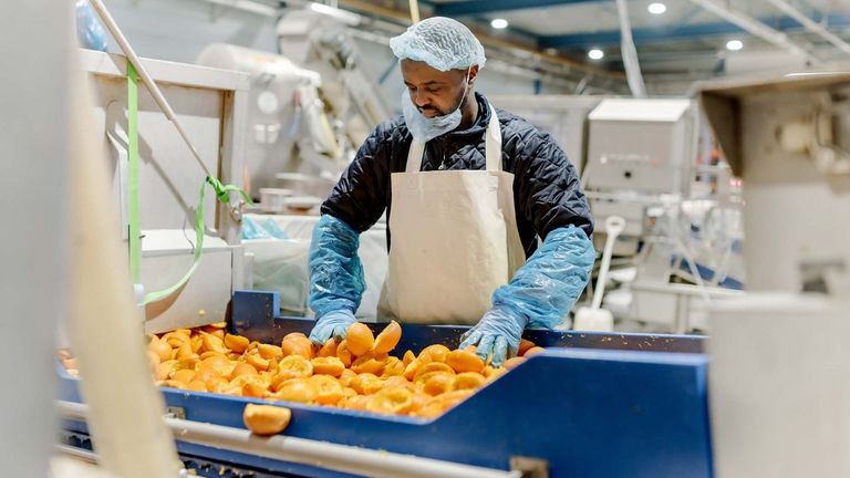 La porriñesa Ceamsa adquiere una división de la empresa holandesa Peelpioners, una refinería de mondas de naranja
