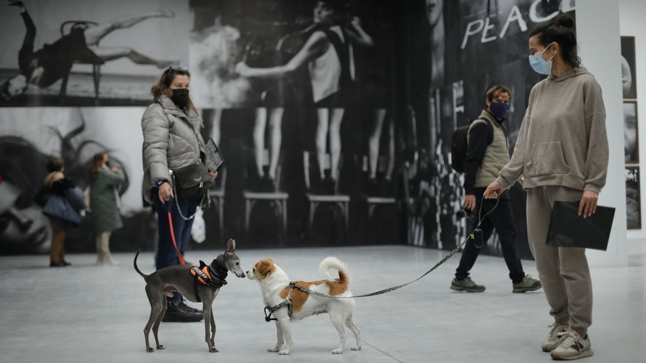 Faustino y Farruco sucumbieron a las llamas para despedir el entroido en Malpica. Las imgenes!. PRIMER DA DE LA EXPOSICIN DE PETER LINDBERGH.