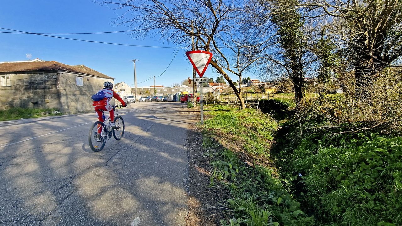 Los pequeos de Carracedo vigilantes de los peregrinos.Trazado de la carretera EP-0002 en Tomeza (Pontevedra), que forma parte del Camino Portugus y carece de arcn