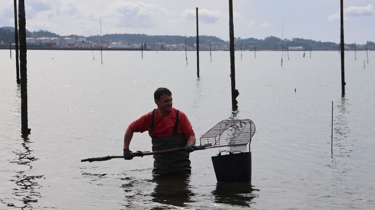 Las lluvias hacen colapsar el marisqueo en Arousa tras años encadenando crisis