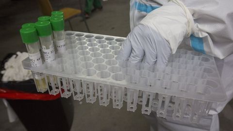 Imagen de archivo de un cribado en el que se realizaron pruebas PCR