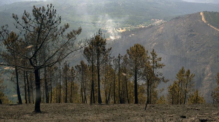 Galicia continuará en alto riesgo de incendio hasta el 15 de octubre