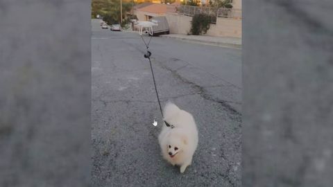 El chipriota Vakis Demetriou, de 42 aos, utiliza su dron durante el confinamiento por el coronavirus para pasear a su perro