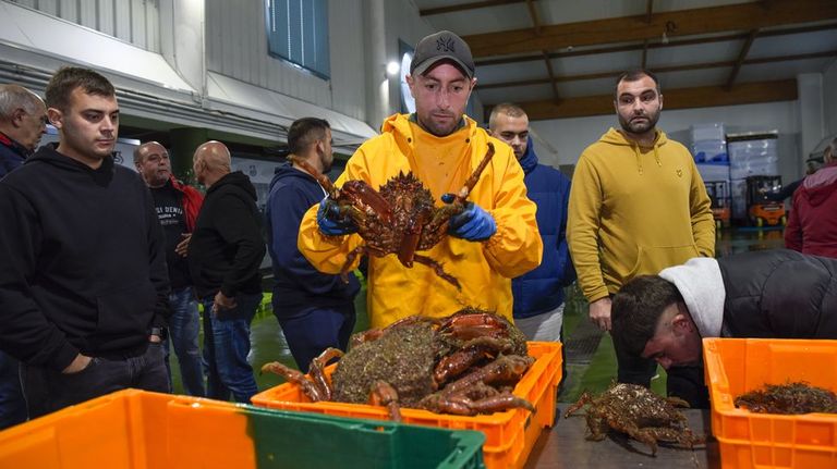 Las lonjas de la ría de Pontevedra venden más sardinas y facturan más por la almeja japónica