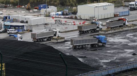 El trasiego de los camiones en el puerto exterior fue una constante este lunes