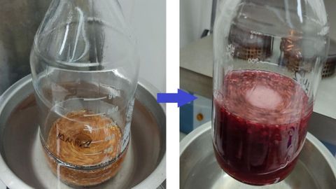 Imagen de uno de los procesos en laboratorio