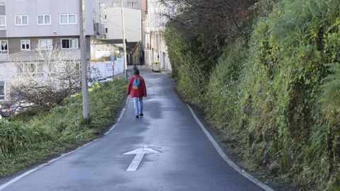 El Ayuntamiento de A Coruña desbrozó el pasado viernes por la tarde las cunetas de la calle Montes