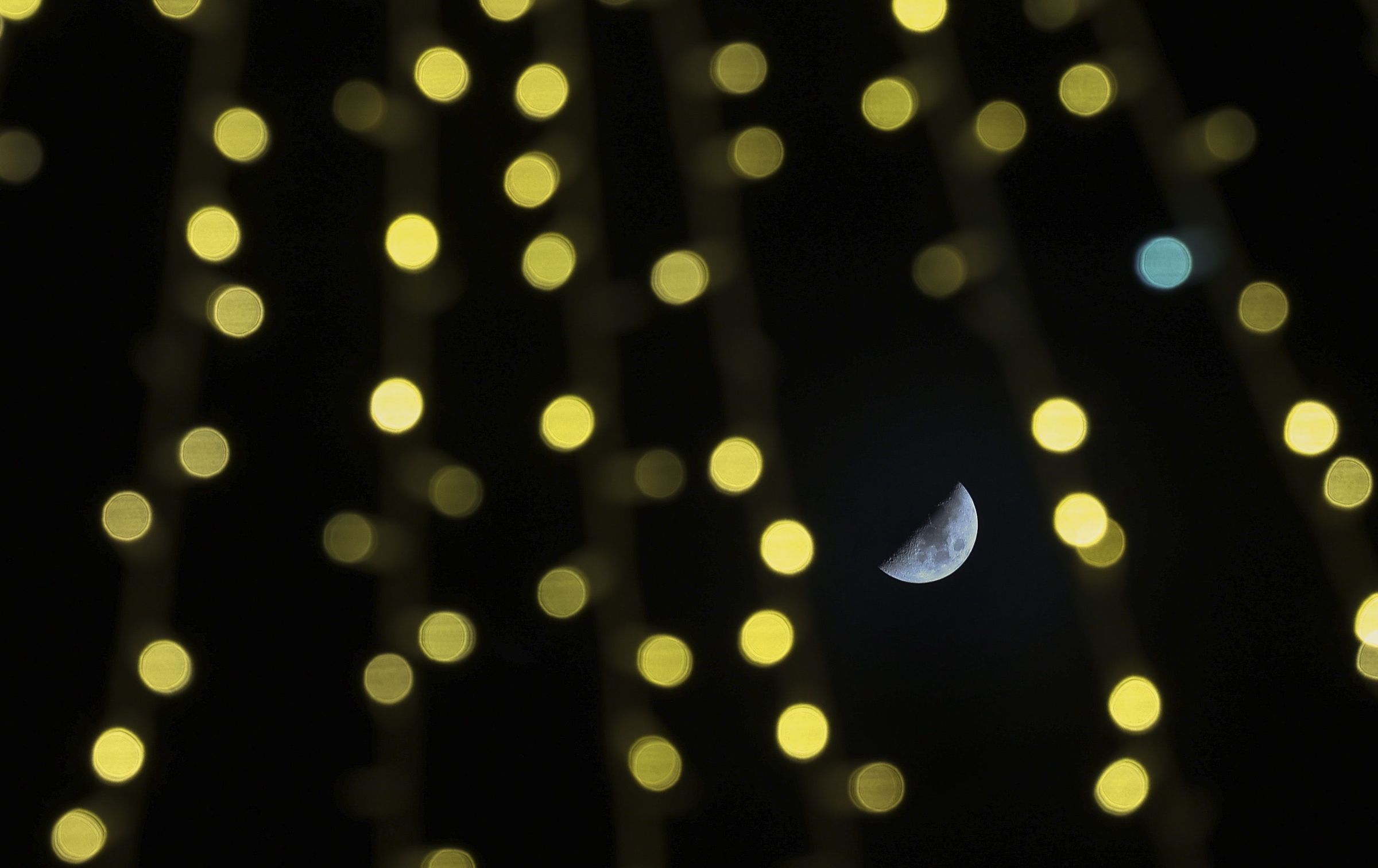 Vivir y trabajar entre flores.A l�a vista a trav�s das luces de Nadal en Santiago de Compostela. 10/12/21