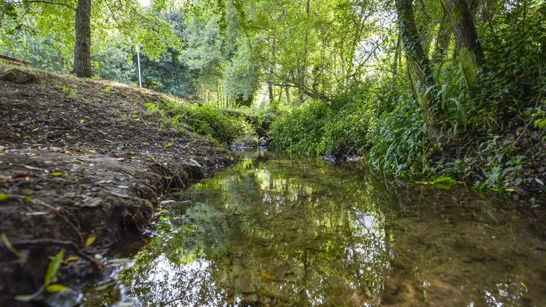 El regato de apenas 2,1 kilómetros que siembra el caos en Padre Fernando Olmedo, en pleno dentro de Pontevedra