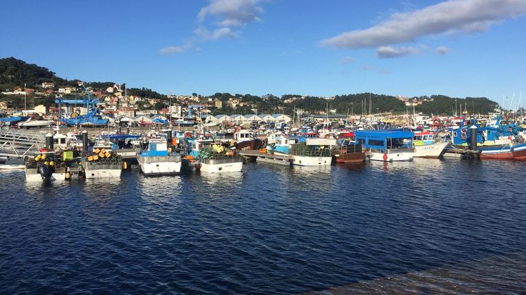José Manuel Rosas, Federación Provincial de Confrarías: «A xente no mar ten molladas as mans, non está para anotar peixes»