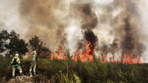 Dos bomberos forestales, en un incendio declarado en Pantn en agosto del 2017
