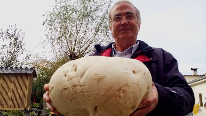 Cazadores de Vilamaior de Sarria celebraron una comida popular