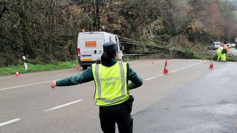 Una agente de la Guardia Civil regula la circulaci�n en la N-634, en Parres, donde se ha producido un desprendimiento