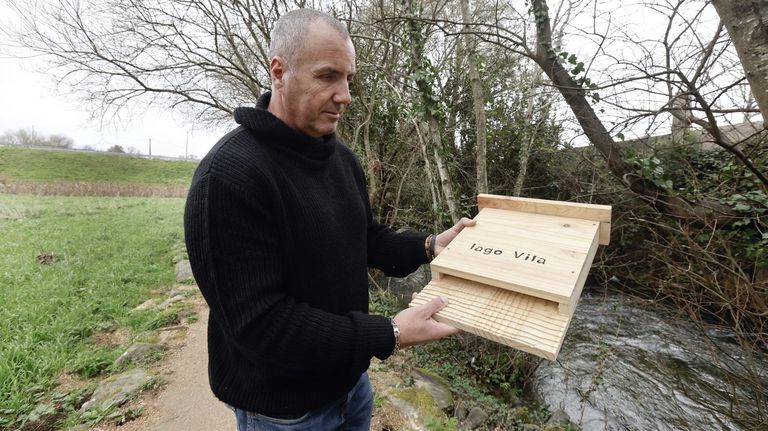 Los murciélagos, los mamíferos que protegen las vides