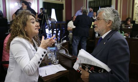 Mónica Vázquez (PSOE) y Rosendo Fernández (PP) discuten sobre el pago a Proavia.
