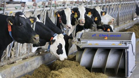 El precio de la alimentacin del ganado es uno de los insumos que ms ha crecido en los ltimos meses