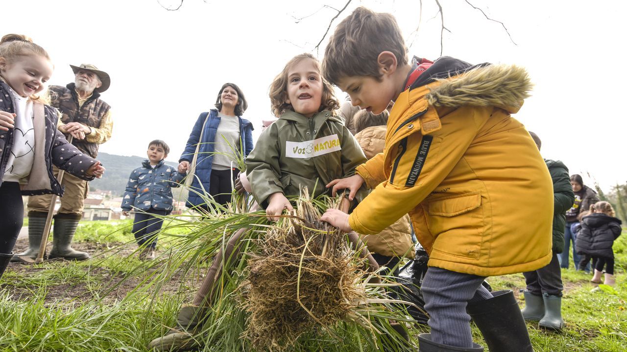Vaipolor�o y el CRA de Vilaboa, una colaboraci�n por el medio ambiente.Filtro sucio de un grifo de una casa de la zona afectada