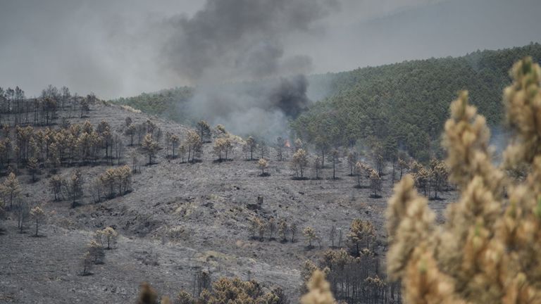 El fuego avanza sin control en Guadalajara y calcina 9.000 hectáreas