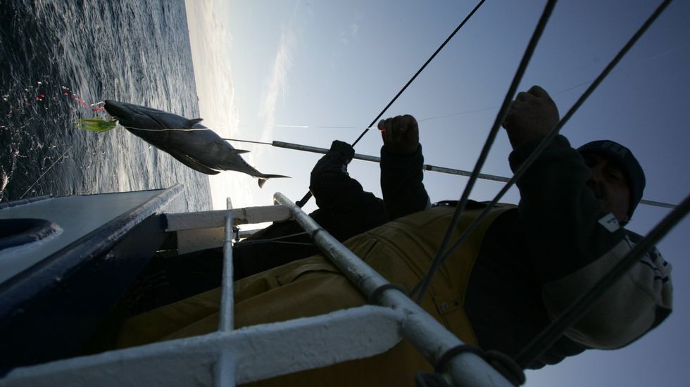 Últimas noticias sobre Océano Índico. La Voz de Galicia