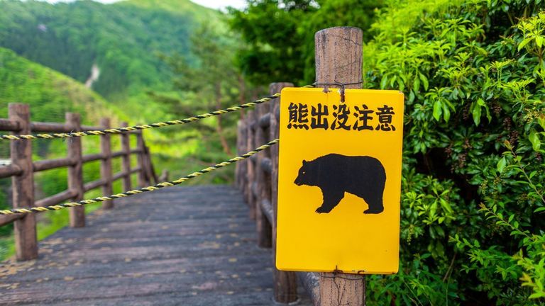 Capturan un oso en Japón tras dos días con casi 100 escuelas