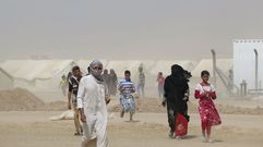 Refugiados iraquís en un campamento habilitado para acoger a los vecinos de la localidad de Faluya que huyen de losa combates entre las tropas regulares y los soldados del Estado Islámico. 
