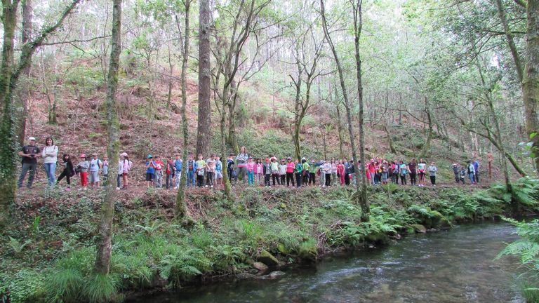 De manera anual tiene lugar una limpieza integral del río Te por parte de los alumnos