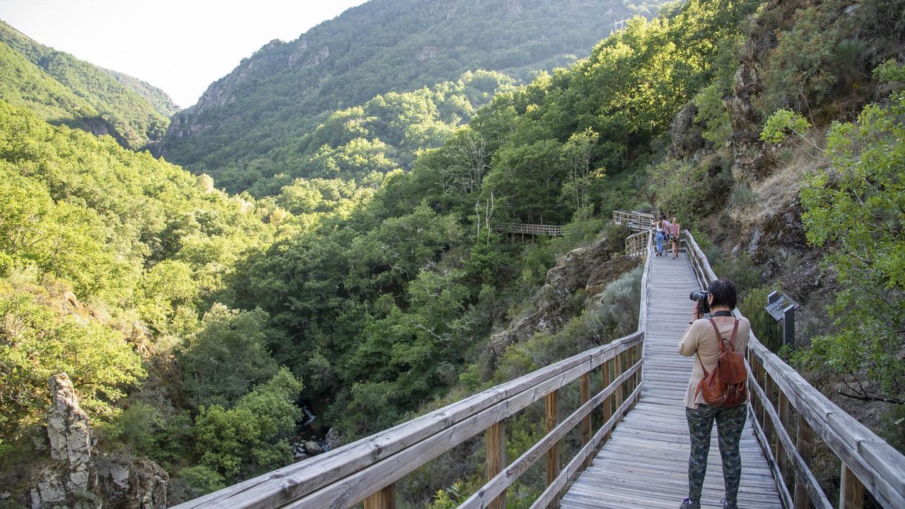 Las pasarelas del río Mao, en la Ribeira Sacra, son perfectas para una escapada familiar. 
