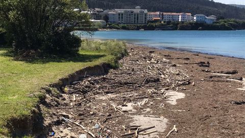 Cientos de troncos, ramas y restos de biomasa forestal cubren estos das por completo playas de O Vicedo, como la de Porto (Fomento), en imagen