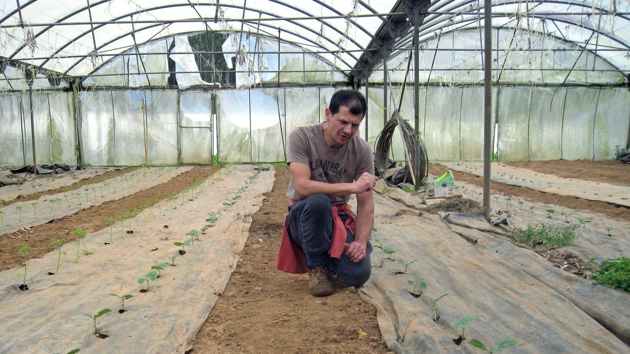 Desde la ventana Historia de un Maceto-huerto urbano.Presentaci�n del plan estrat�gico para el Xacobeo 2021