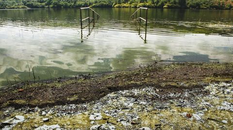 Imagen de archivo del pantalán de Os Chaos con cianobacterias en el agua