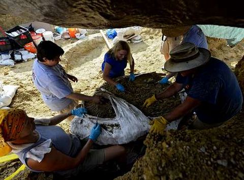 Especialistas trabajando en una excavación arqueológica de Ellis County, en Italy (Texas). 