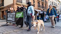 Manifestacin animalista en Logroo en contra de la ley