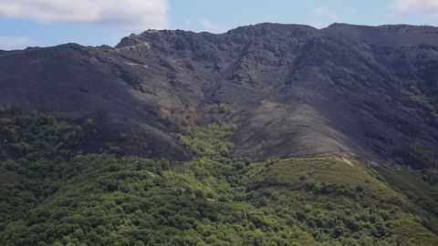 La carretera a A Seara y las frondosas sirvieron de freno al incendio en Cruz de Outeiro